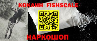 индика Пенза