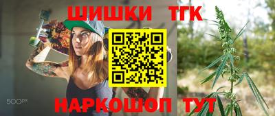 индика Пенза