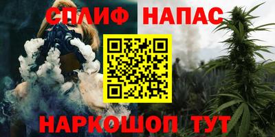 прущие грибы Партизанск