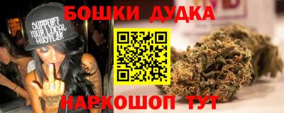 индика Пенза