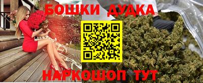 индика Пенза