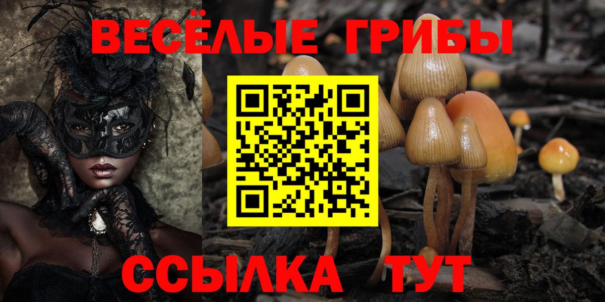 Псилоцибиновые грибы прущие грибы  Псилоцибиновые грибы мицелий  Россия  Вход с VPN 