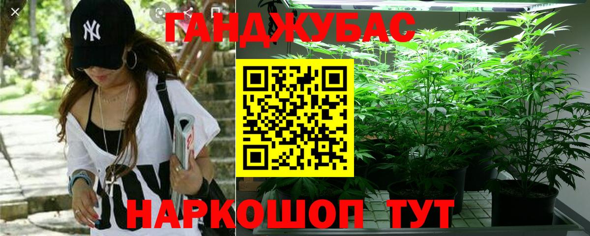Канабис SATIVA & INDICA Россия